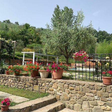 Guest House Torre Guelfa, Vinsantaia Figline Valdarno Kültér fotó